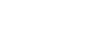 Format Developer
